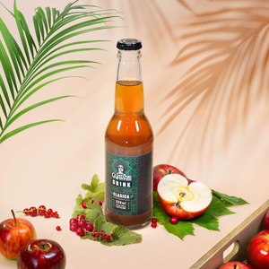 Guarani Drink – Kallbryggt Yerba Mate-avkok – Clasica 330 ml