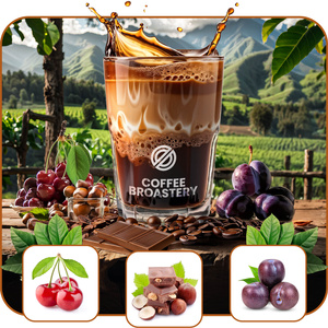 Bro Coffee Roastery - Hela bönor kaffe Costa Rica San Rafael Speciality 400 g
