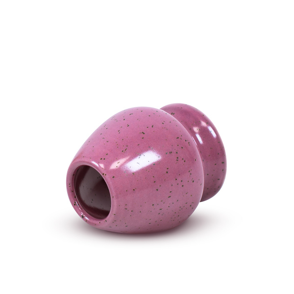 Set för att tillreda Pink Matcha