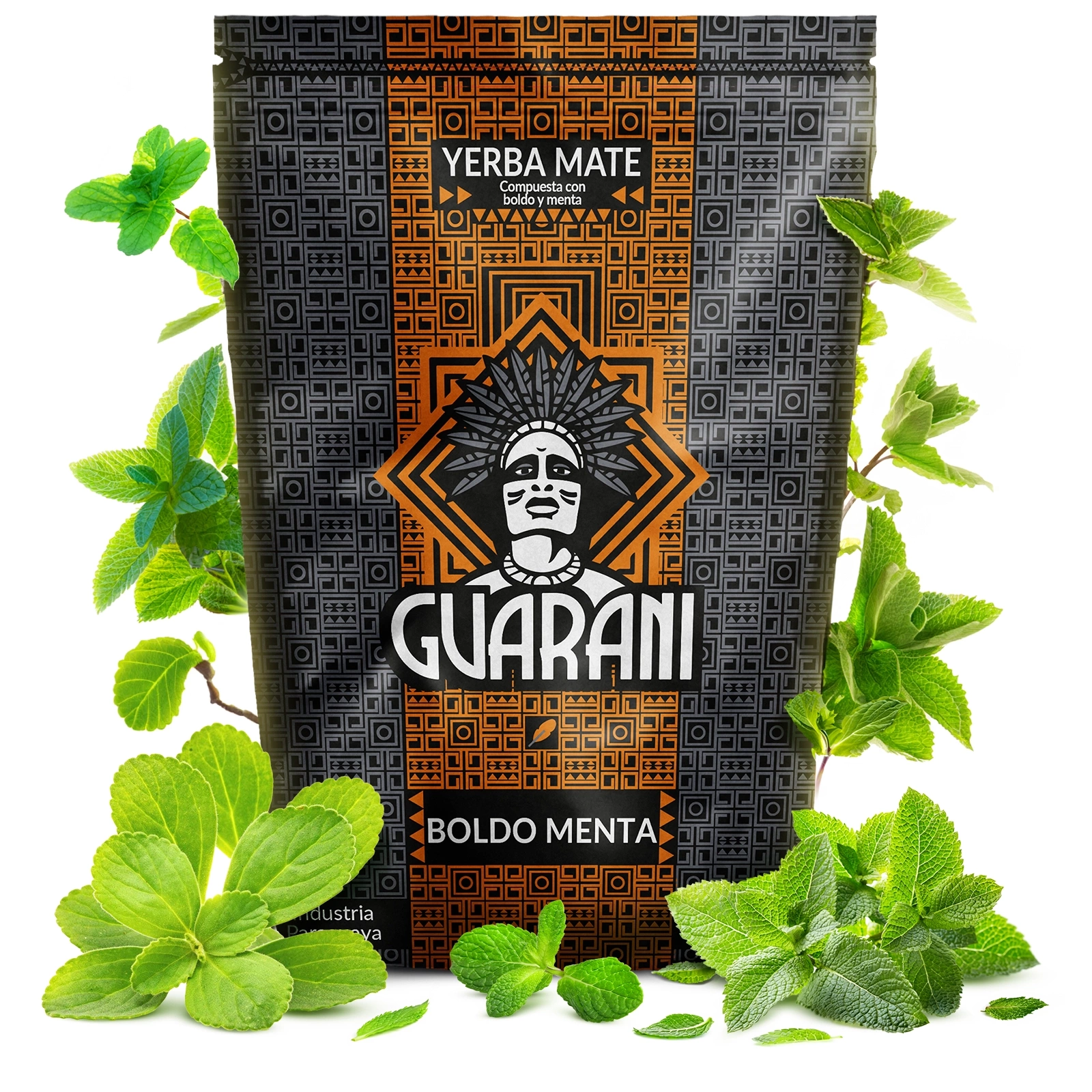 Guarani Boldo Menta - packaging