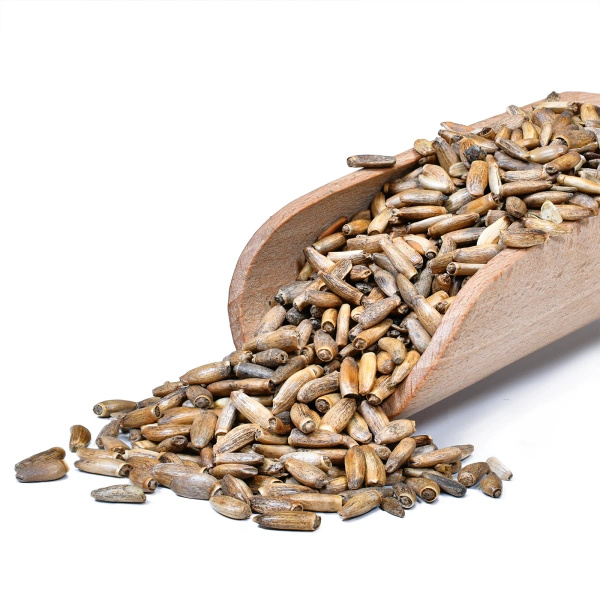 Vivarini – Mjölktistel (frön) 1 kg